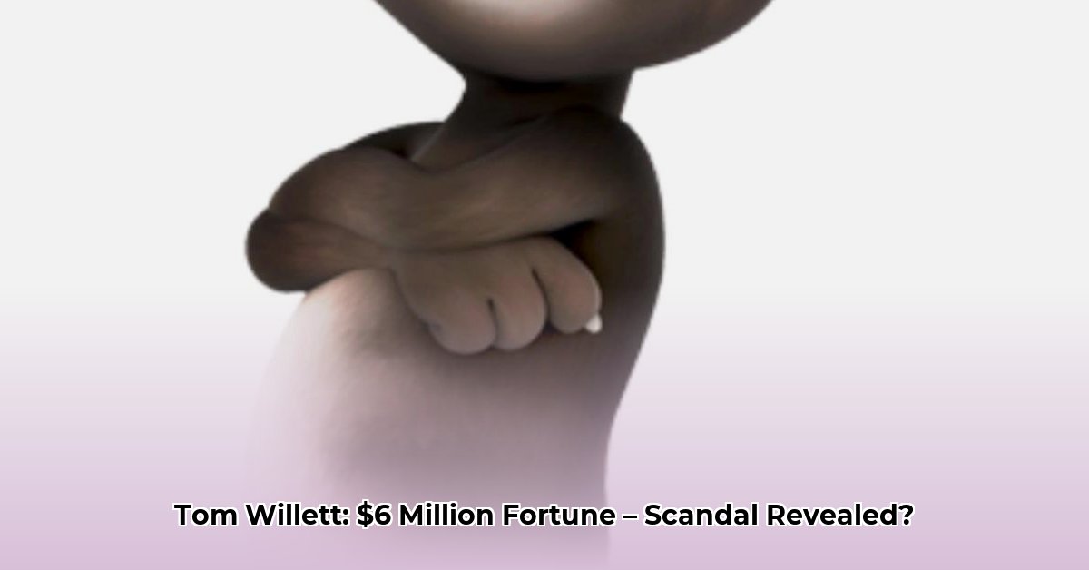 tom-willett-net-worth
